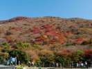 くじゅう連山