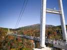 九重”夢”大吊橋