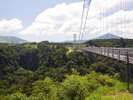九重”夢”大吊橋