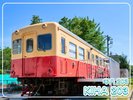 キハ203