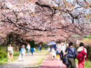 舞鶴公園
