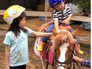 施設内にて乗馬体験を行っています。