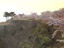 【竹田城跡と桜】写真提供:吉田利栄