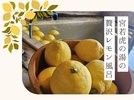 里山レモン風呂プラン