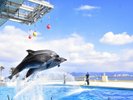 海の中道マリンワールド(渡船場まで約8分、船で20分)