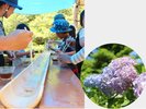 糸島観光/白糸の滝流しそうめんが9月くらいまで楽しめる♪