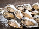 オイスターバー「HAKODATE OYSTERS 1854」(ホテル1F)日本各地から新鮮な牡蠣を直送で仕入れています