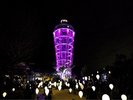江ノ島シーキャンドル(夜の風景)