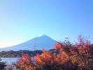 紅葉と富士山。見頃は例年11月中旬頃です。(イメージ)