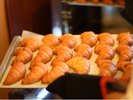 �y���H�o�C�L���O�z�z�Ă����ăN�����b�T��