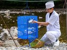 丁寧に天日干した干物は朝食バイキングでもご提供しています(画像はイメージです)