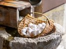 当館名物の温泉卵。源泉の成分で白身はとろり、黄身は濃厚でクリーミーな味わい(※画像はイメージです)