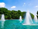■青葉公園※四季折々の豊かな自然が堪能できる公園。春は桜、つつじ、夏は緑、秋は紅葉が楽しめます。