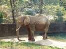 最寄りの地下鉄東西線「六丁の目駅」から1本で八木山動物公園へ♪
