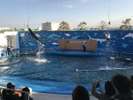 すぐ近くにはうみの杜水族館がござます!