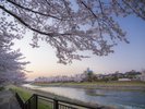 犀川 ホテルから徒歩でおよそ8分。