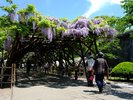 五稜郭公園入口