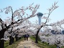 五稜郭タワー