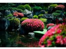 メイン庭園のさつき
