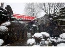 雪降る裏庭
