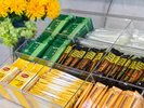 【アメニティ一例】コーヒー・紅茶など