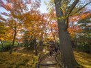兼六園(画像提供:金沢市)