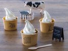 なまらうまい!北海道ならではの新鮮で濃厚ソフトクリーム