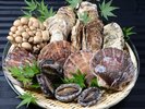 鸁E�����E���y�̋��t�Ă�