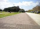 新都心公園 足に優しいソフトな素材の外周コースがジョギングに最適