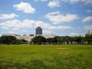 新都心公園「広いスペースはのんびり寛げる環境です」