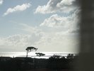 窓からは広い海が見える
