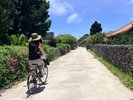 白砂の道をサイクリング