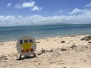 透き通る海が広がる星砂浜