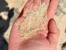 旅の記念に見つけたい星砂