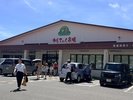 地元の魅力が詰まった市場