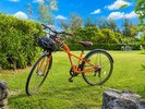 周辺散策に便利なレンタサイクル