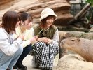神戸どうぶつ王国(イメージ)