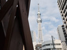 木組みの隙間から覗く東京スカイツリー(R)