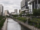 ホテルすぐそばを流れる北十間川の遊歩道