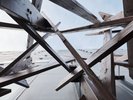 見上げるたびに異なる表情を見せる圧倒的な建築美