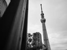 ルーフトップ|モノクロームで映し出す、ルーフトップから見上げる東京スカイツリー(R)