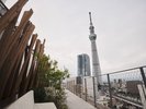 ルーフトップ|ルーフトップから望む大迫力の東京スカイツリー(R)