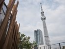 ルーフトップ|東京スカイツリー(R)を間近に望む、開放感あふれるルーフトップテラス