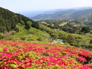 周辺観光│姫の沢公園