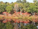 *渋温泉の四季(秋)/志賀高原の玄関口、一沼の紅葉