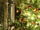 クリスマスツリー ホテルの中が1年でもっとも色鮮やかな季節
