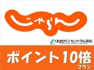 限定ポイント10倍プラン