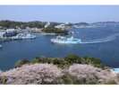 安楽島から望む、鳥羽湾と伊勢湾フェリー。癒されます(鳥羽観光協会より)