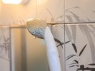 リファのシャワーヘッドを導入