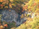唐滝<当館から車で40分>